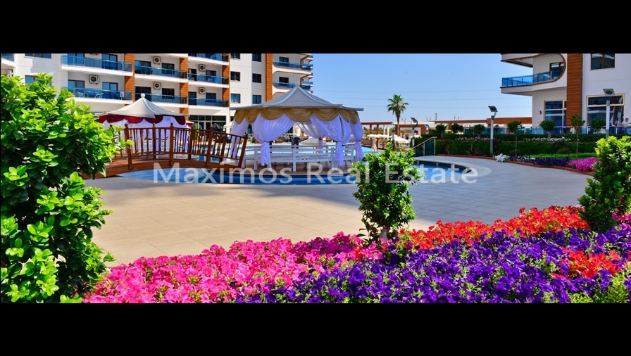 Luxury Apartments for Sale in Alanya Residential Areas – property overview (image 14)