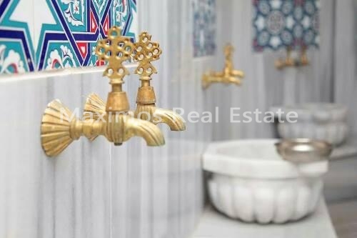 Apartments for Sale in Bahcesehir Istanbul – entrance (image 15)
