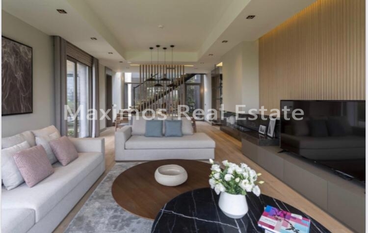Villa for Sale in Istanbul – exterior view (image 19)