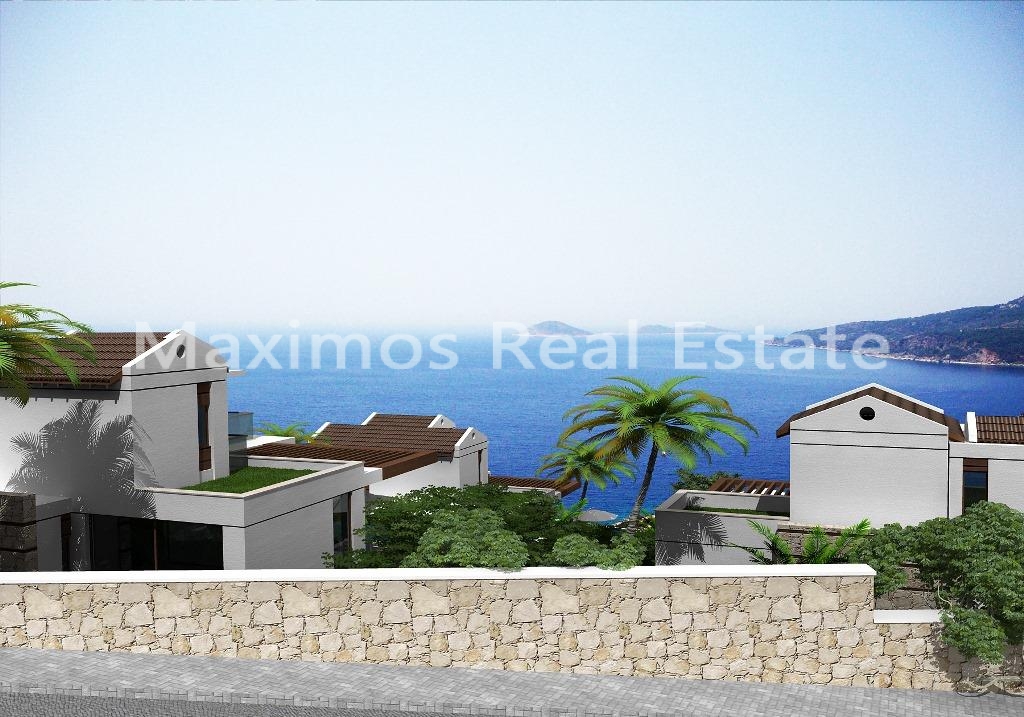 Exterior structure with contemporary design supporting investment appeal