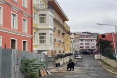 Residential Apartments with Sea Views Located in Prime Istanbul Districts – garden view (image 8)