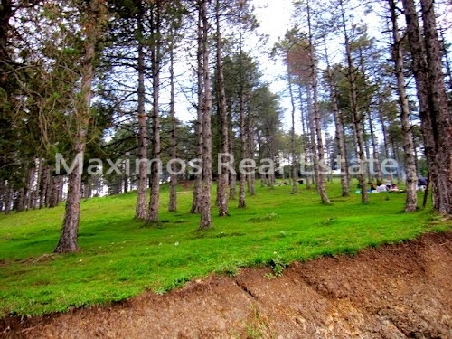 Buying Property in Trabzon – dining area (image 6)